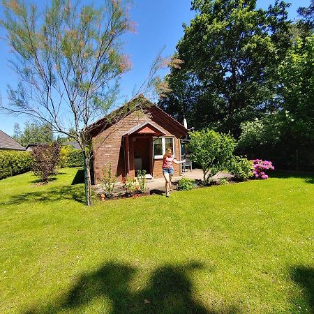 Ferienhaus Eschenallee Villa Wendisch Rietz Exteriör bild